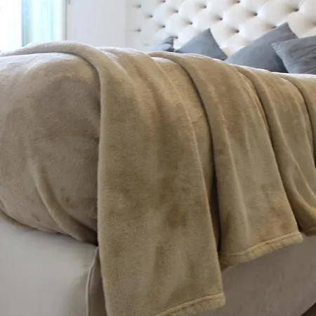 House Trevi Fountain